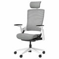 Ergotopia NextBack | Komfortabler Bürostuhl für ergonomisches Sitzen bis 150 kg | Linderung von Rückenschmerzen | 5 Jahre Garantie